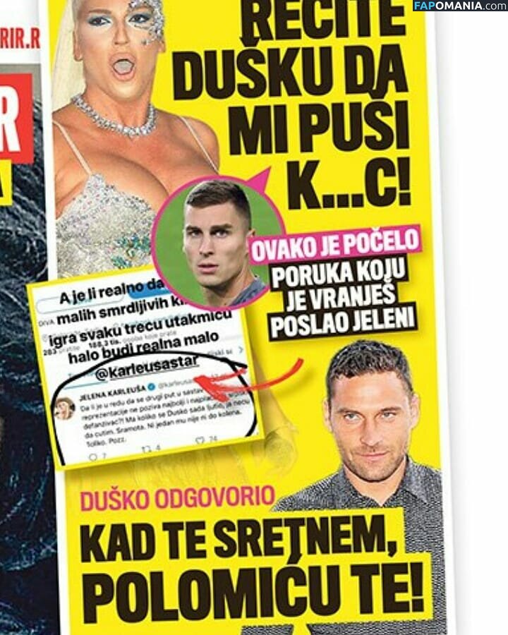 Jelena Karleusa Tosic Naakt Gelekte foto #7