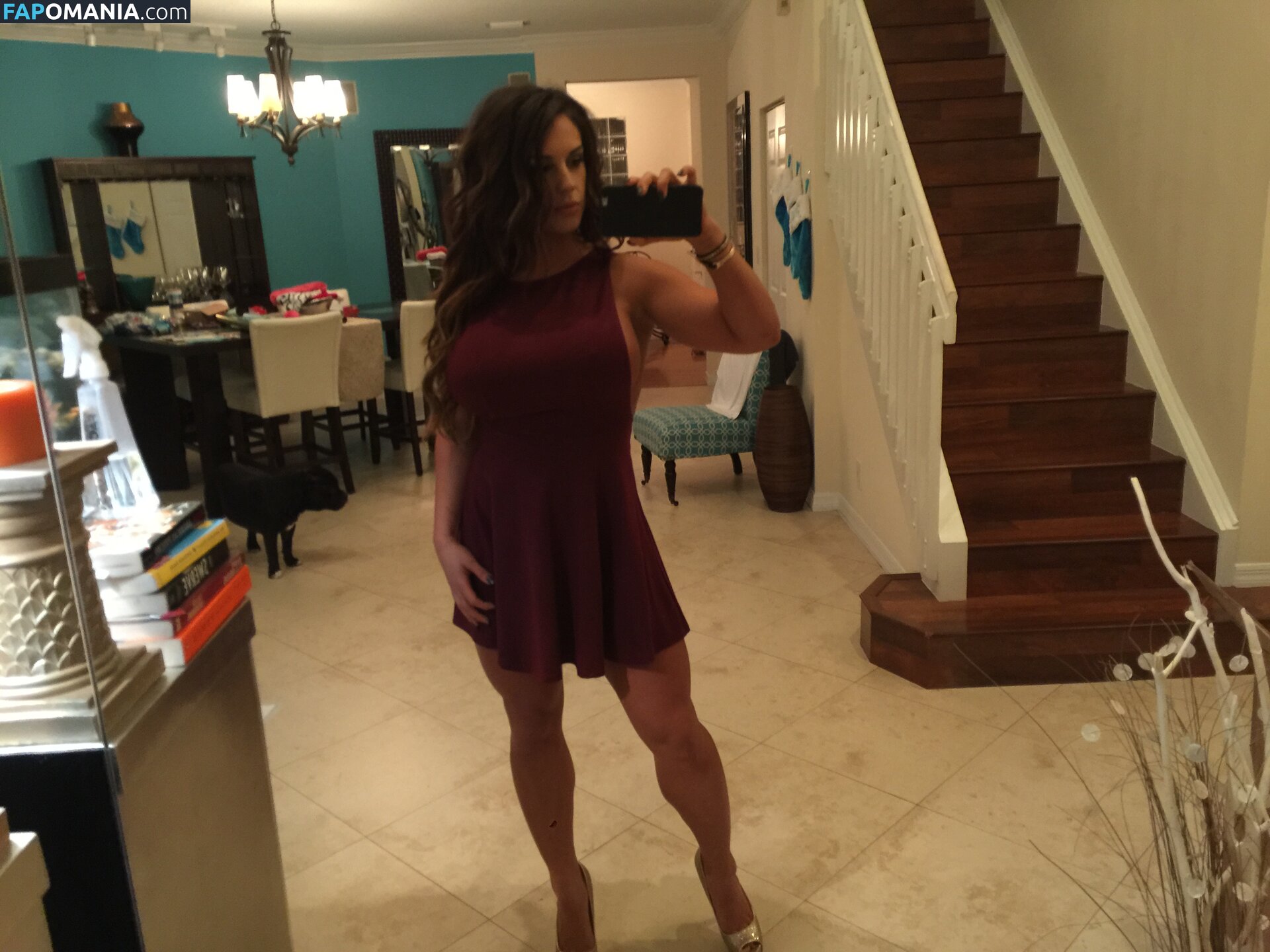 Kaitlyn WWE Naakt Gelekte foto #35