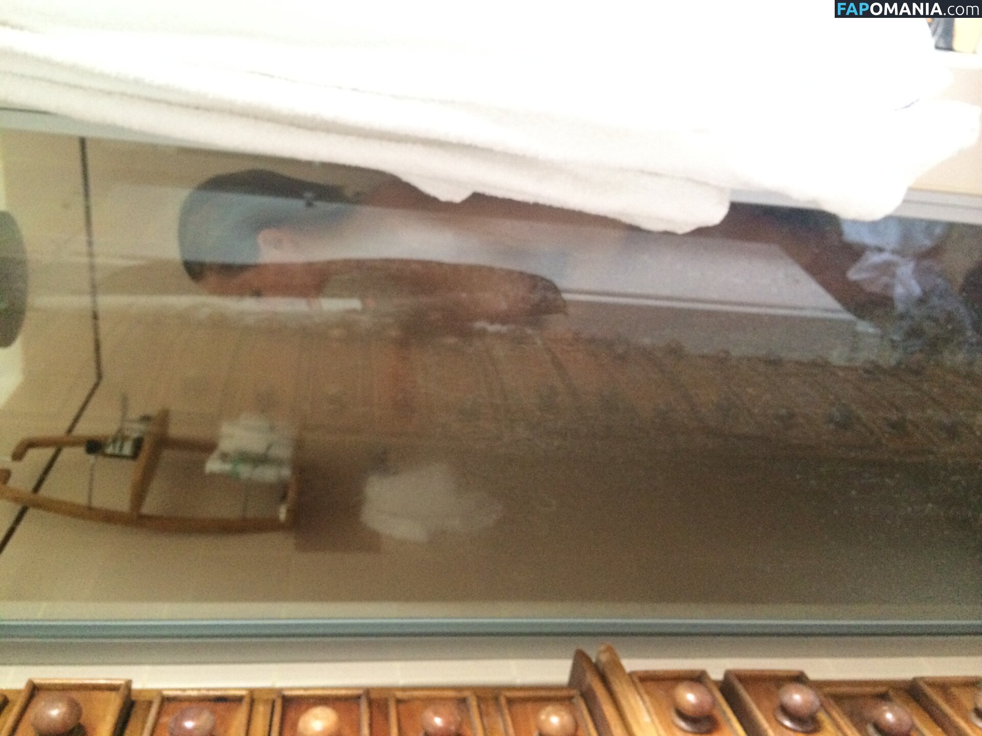 Lara Bingle Naakt Gelekte foto #245