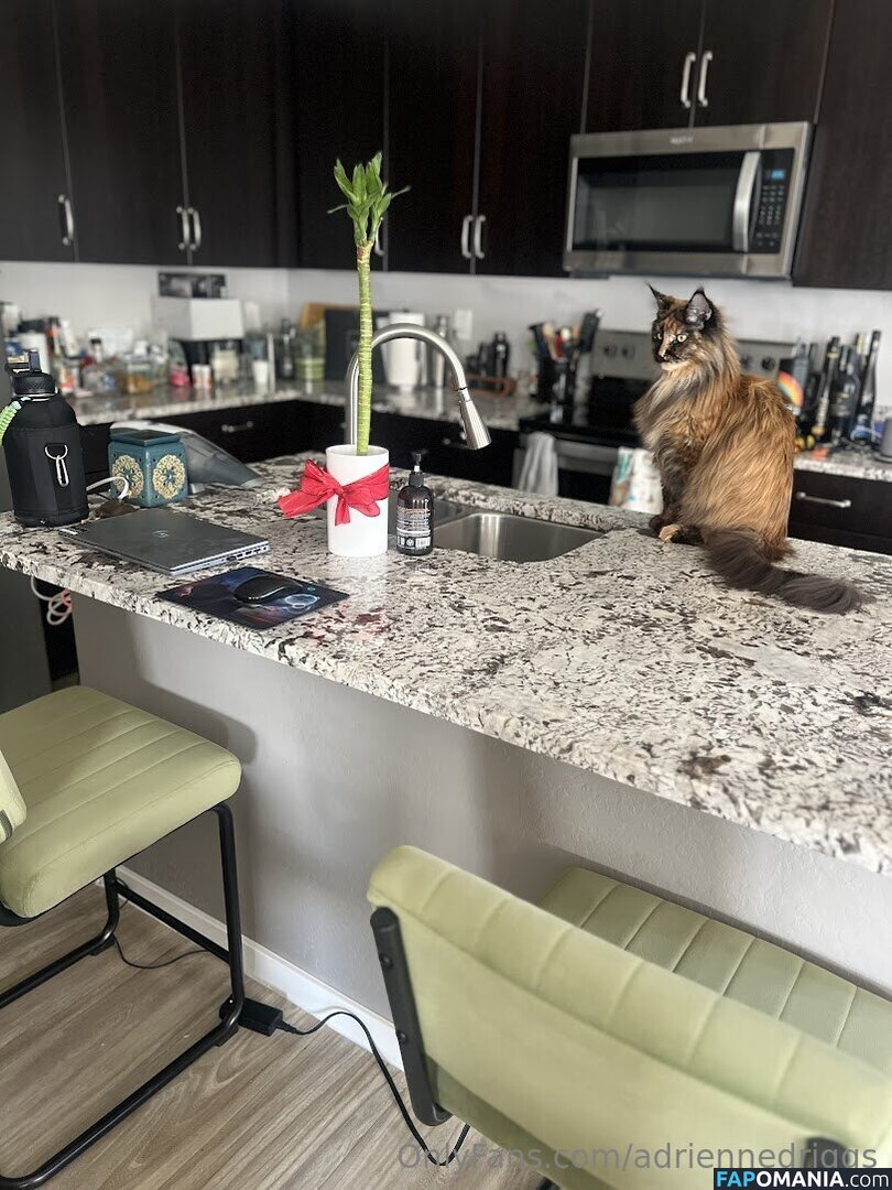 adrienne.driggs / adriennedriggs Naakt OnlyFans  Gelekte foto #9