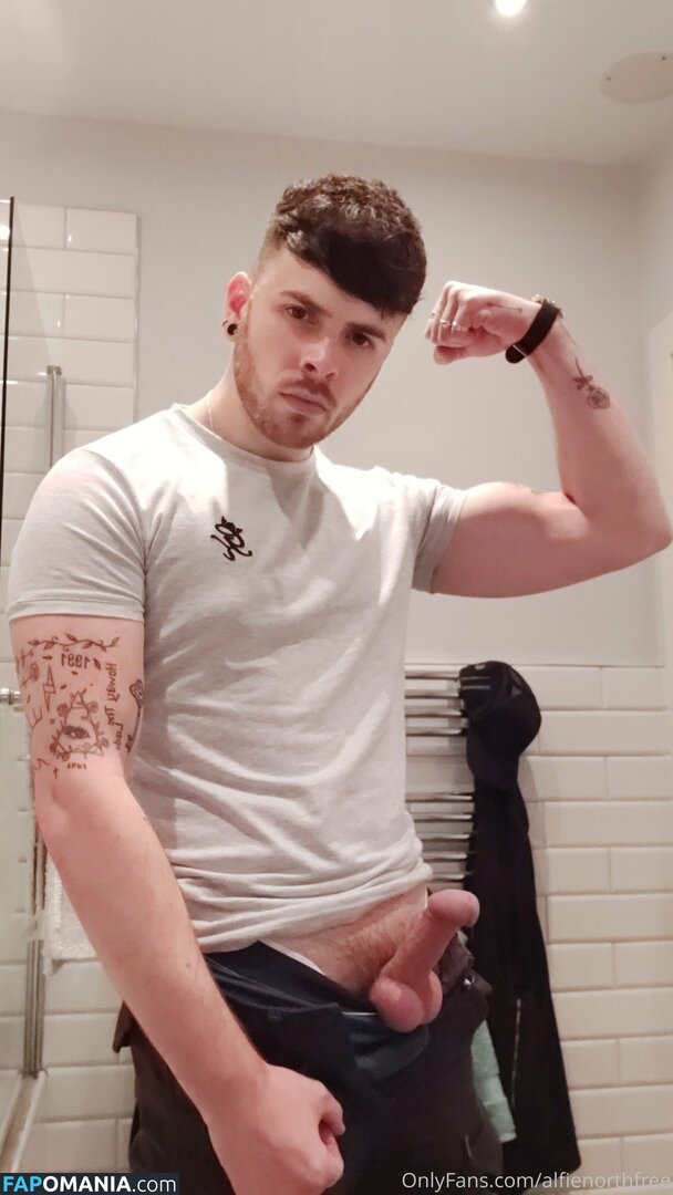 alfienorth / alfienorthfree Naakt OnlyFans  Gelekte foto #2