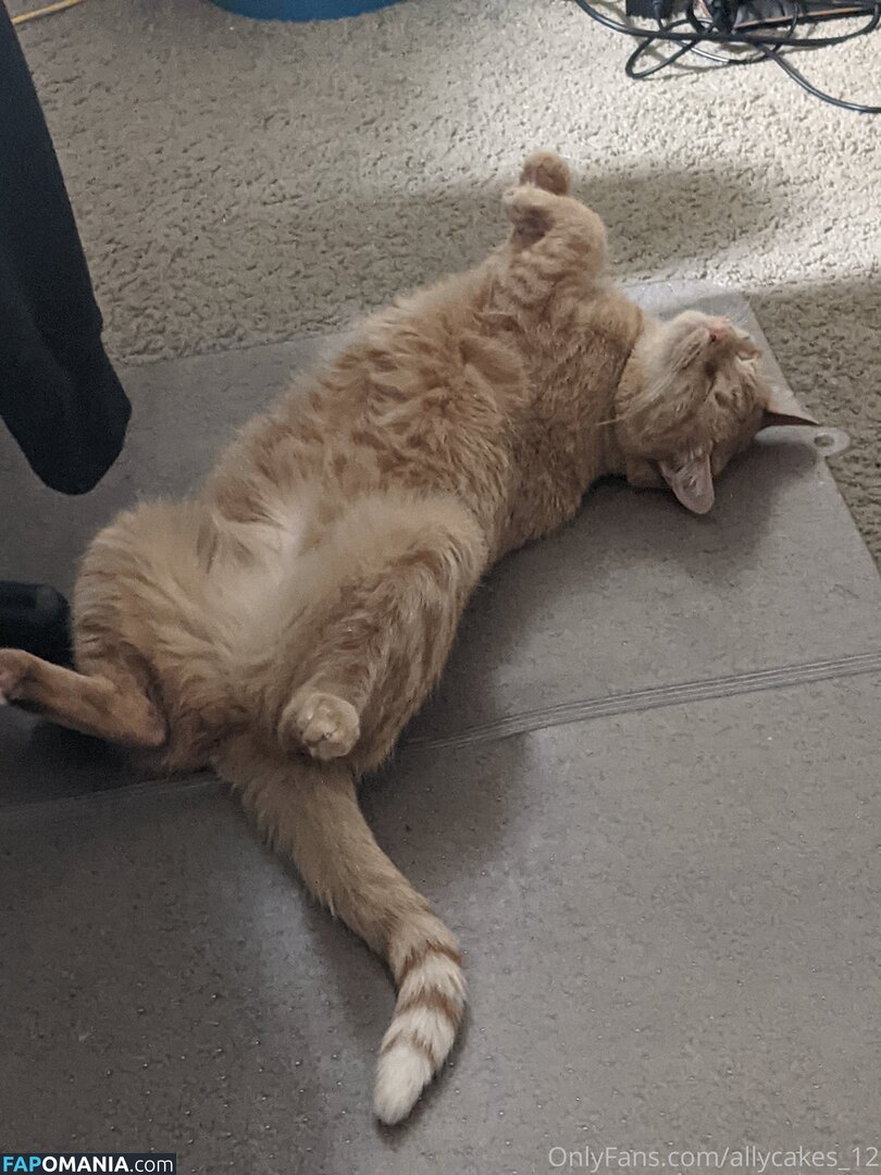 allycakes_12 Naakt OnlyFans  Gelekte foto #3