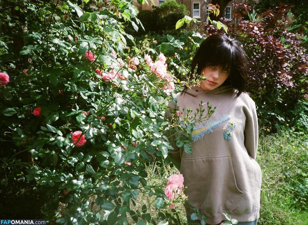 Billie Eilish / Fake / billeeilish / billieeilish Naakt OnlyFans  Gelekte foto #2228