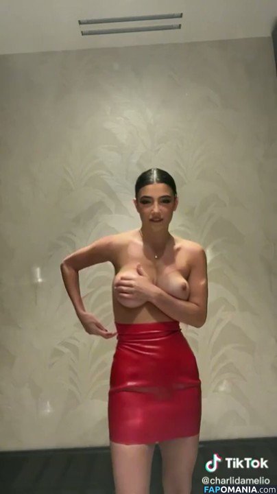 Charli D'Amelio / Charli Damelio / charlidamelio / charliesdamelio Naakt OnlyFans  Gelekte foto #72