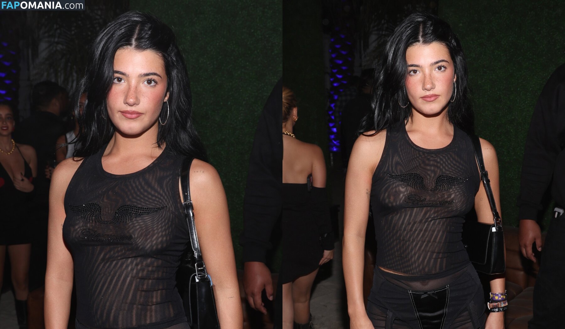 Charli D'Amelio / Charli Damelio / charlidamelio / charliesdamelio Naakt OnlyFans  Gelekte foto #1550