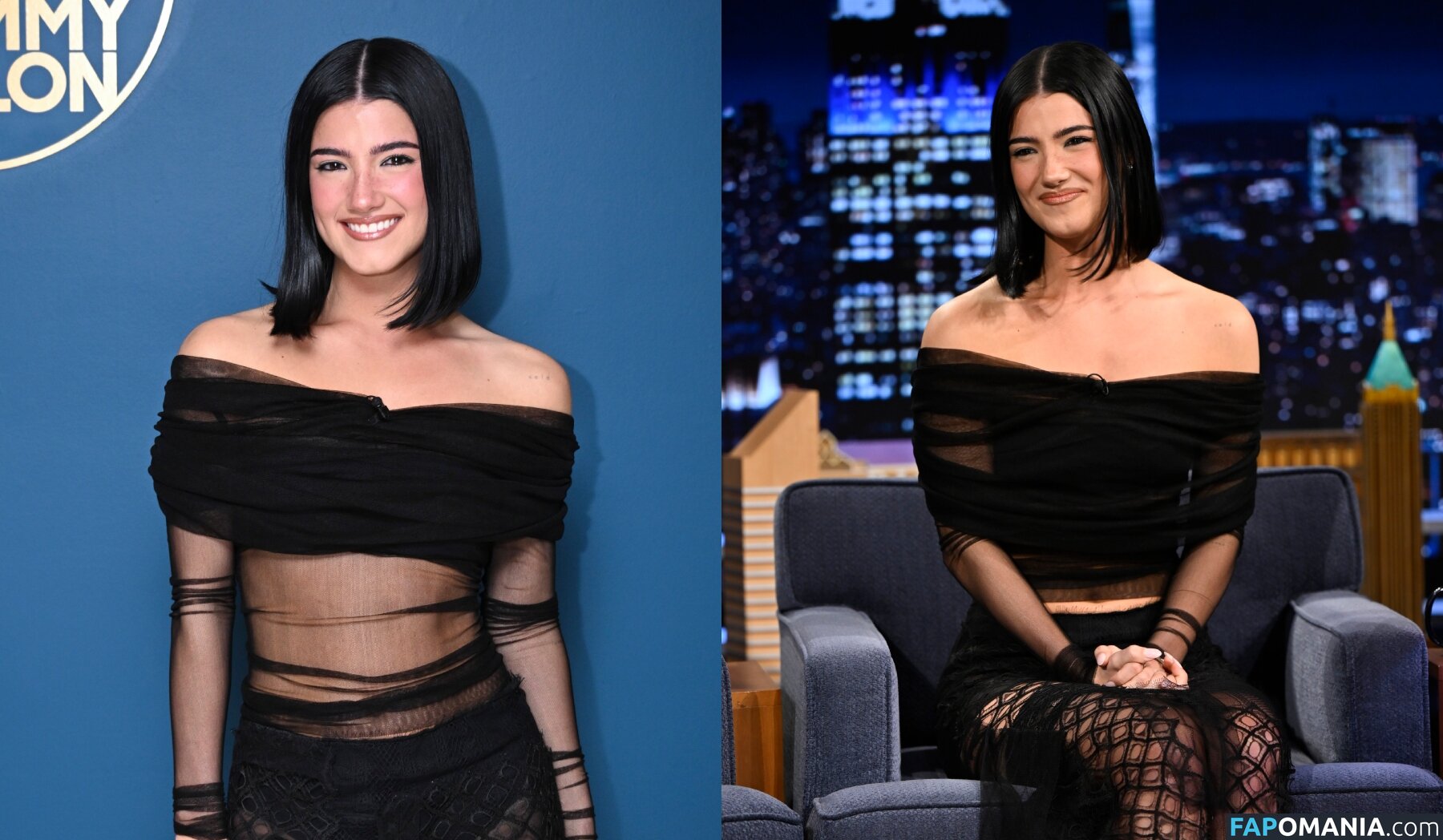 Charli D'Amelio / Charli Damelio / charlidamelio / charliesdamelio Naakt OnlyFans  Gelekte foto #1560