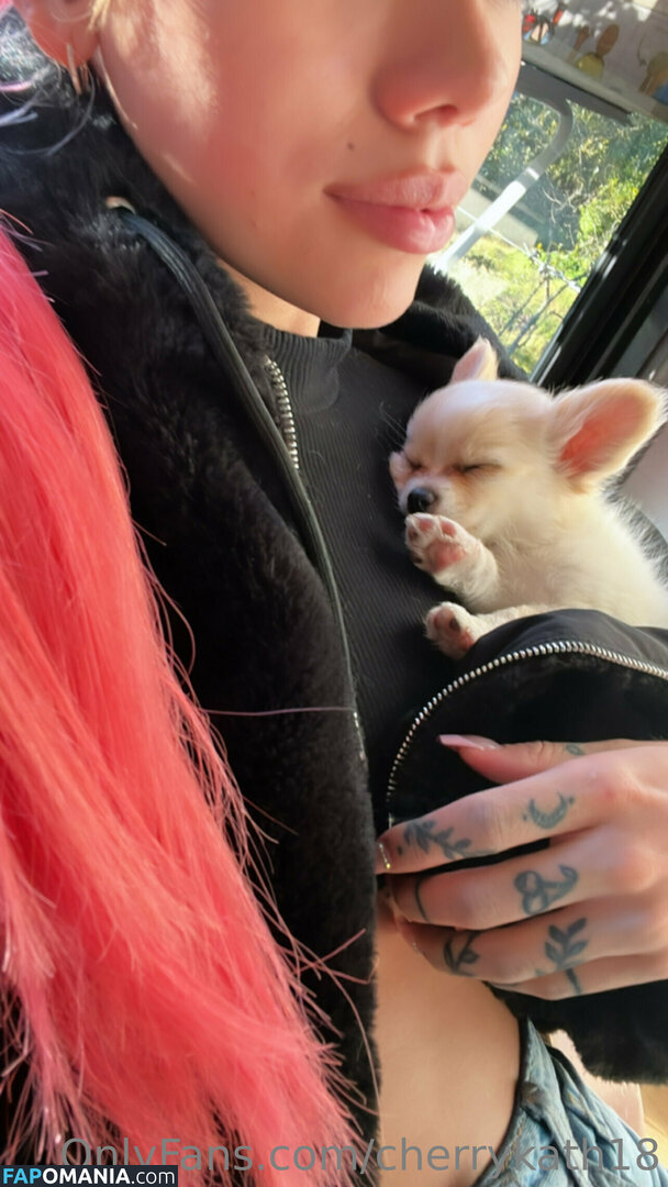 cherrykath18 Naakt OnlyFans  Gelekte foto #19