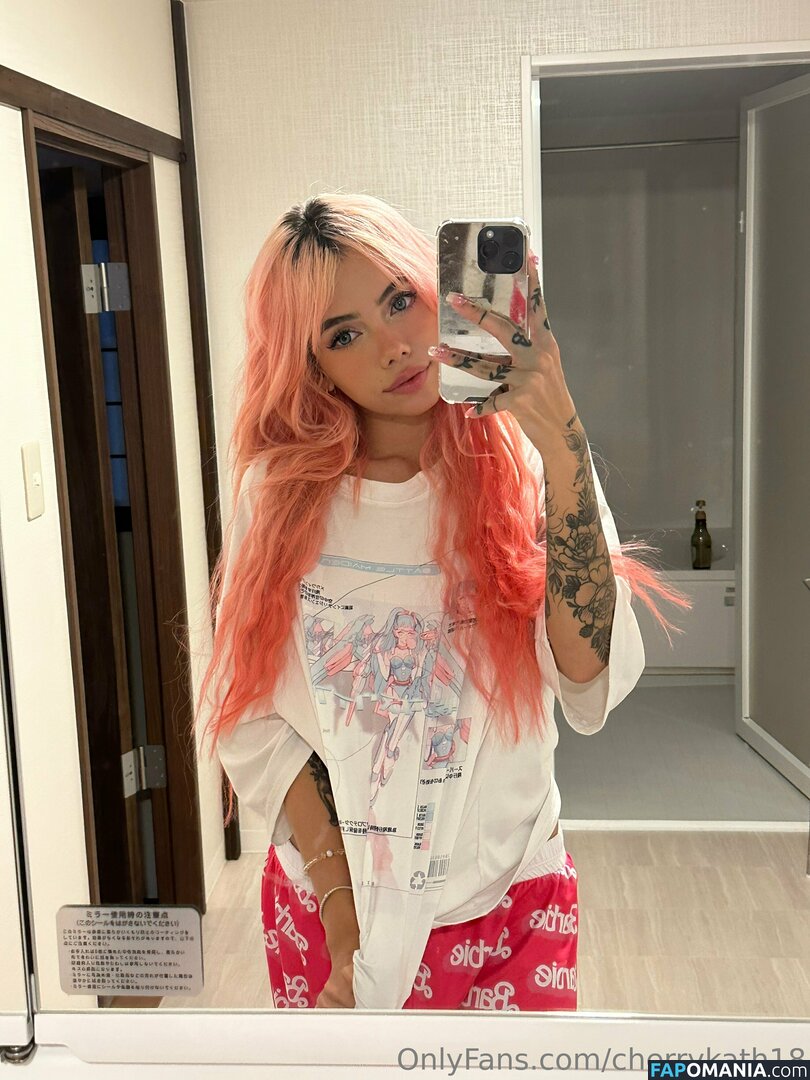 cherrykath18 Naakt OnlyFans  Gelekte foto #156