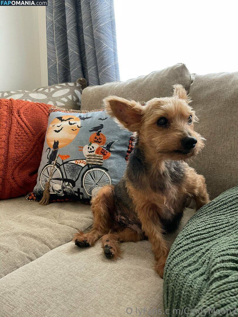 cindymoon007 / cindymoon7 Naakt OnlyFans  Gelekte foto #280