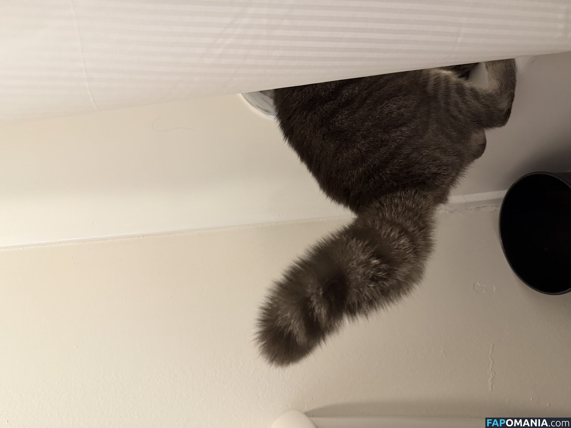 dahniks / dahnikz Naakt OnlyFans  Gelekte foto #15