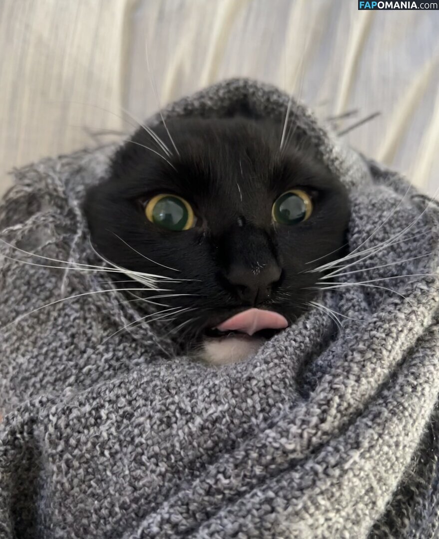 dahniks / dahnikz Naakt OnlyFans  Gelekte foto #19