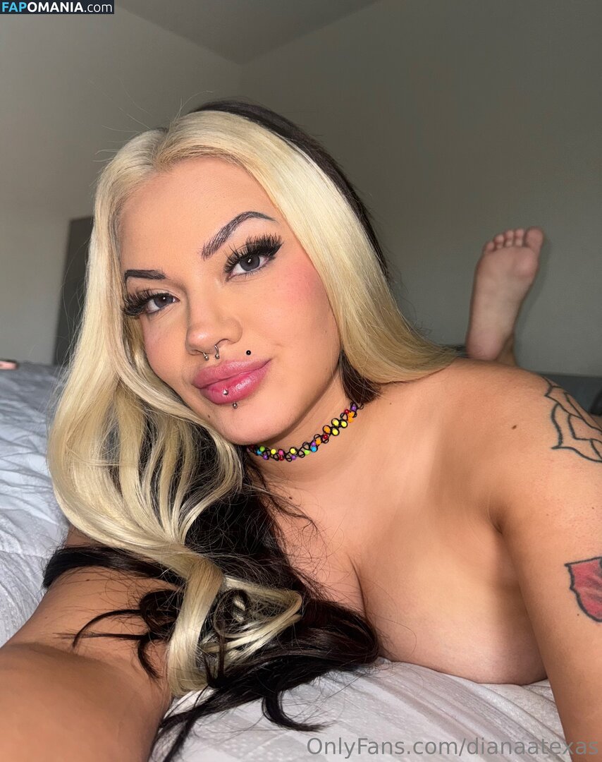 dianaatexas Naakt OnlyFans  Gelekte foto #16