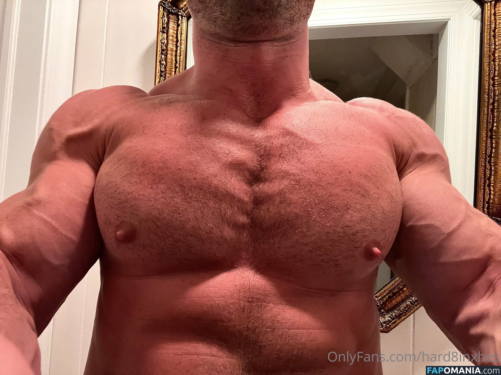 hard8inxhes Naakt OnlyFans  Gelekte foto #4