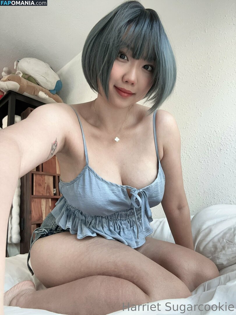 HSugarCookie / Harriet Sugarcookie / harrietsugarcookie / iamharrietsugarcookie Naakt OnlyFans  Gelekte foto #85