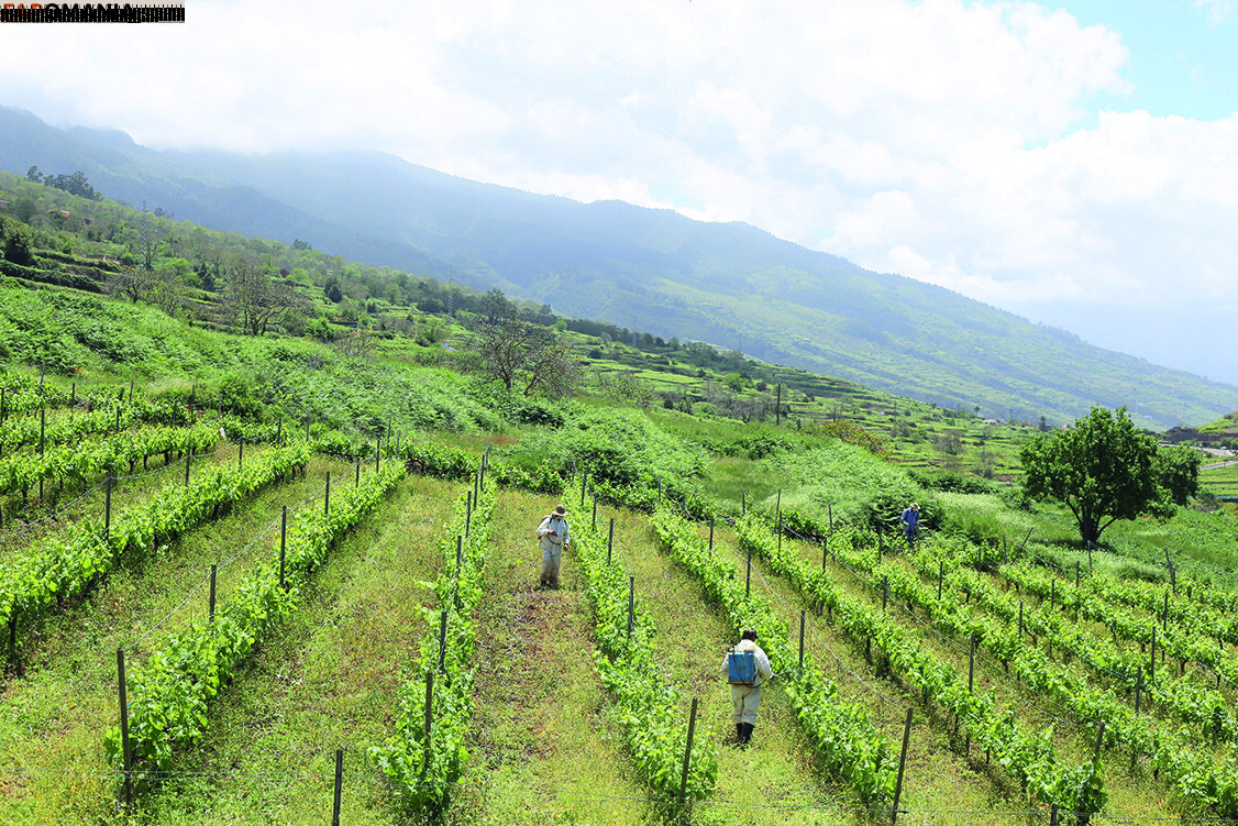 julia_lyn Naakt OnlyFans  Gelekte foto #10