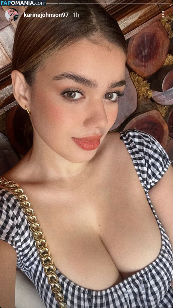 Karina Johnson / karinajohnson97 Naakt OnlyFans  Gelekte foto #23