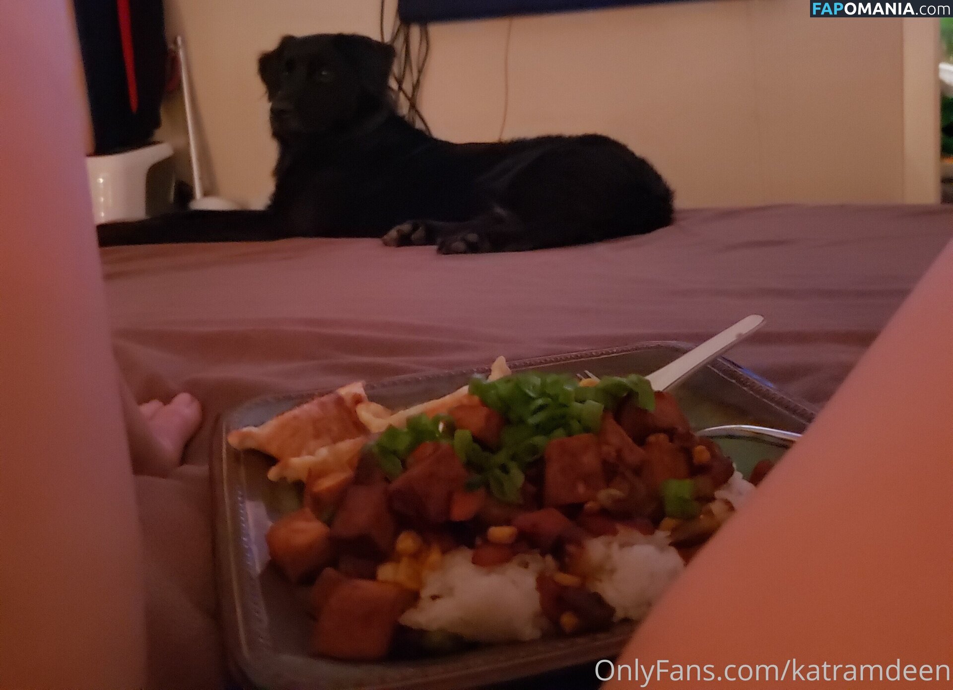 Katherine Ramdeen Naakt OnlyFans  Gelekte foto #14