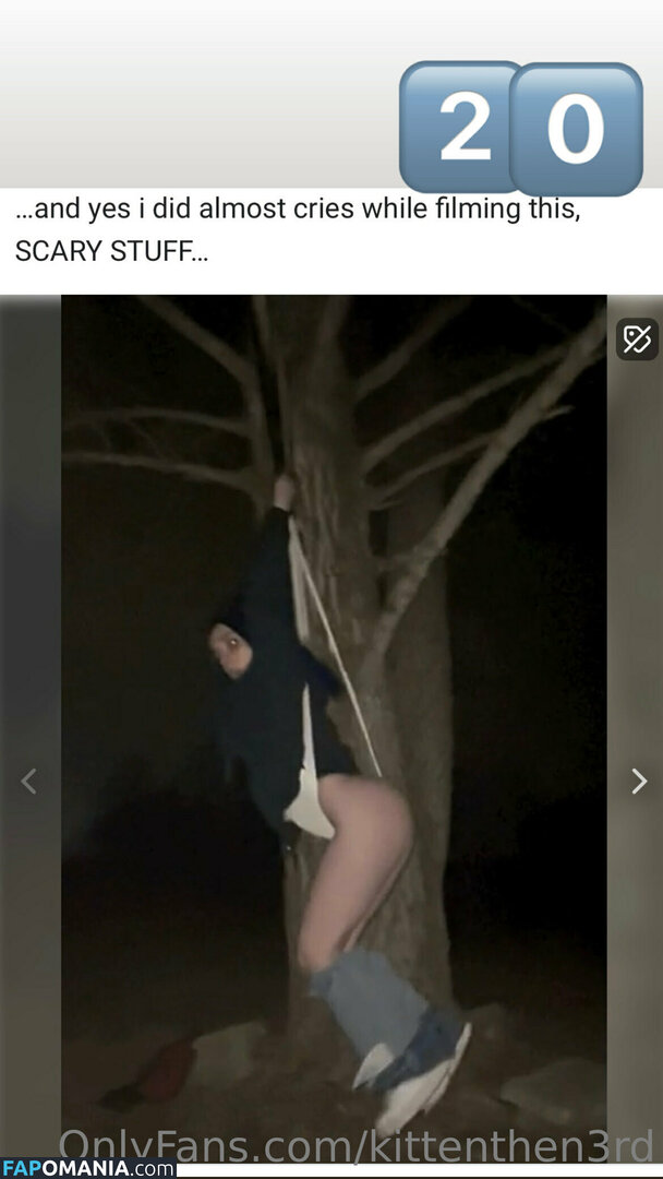 kittenthen3rd Naakt OnlyFans  Gelekte foto #12