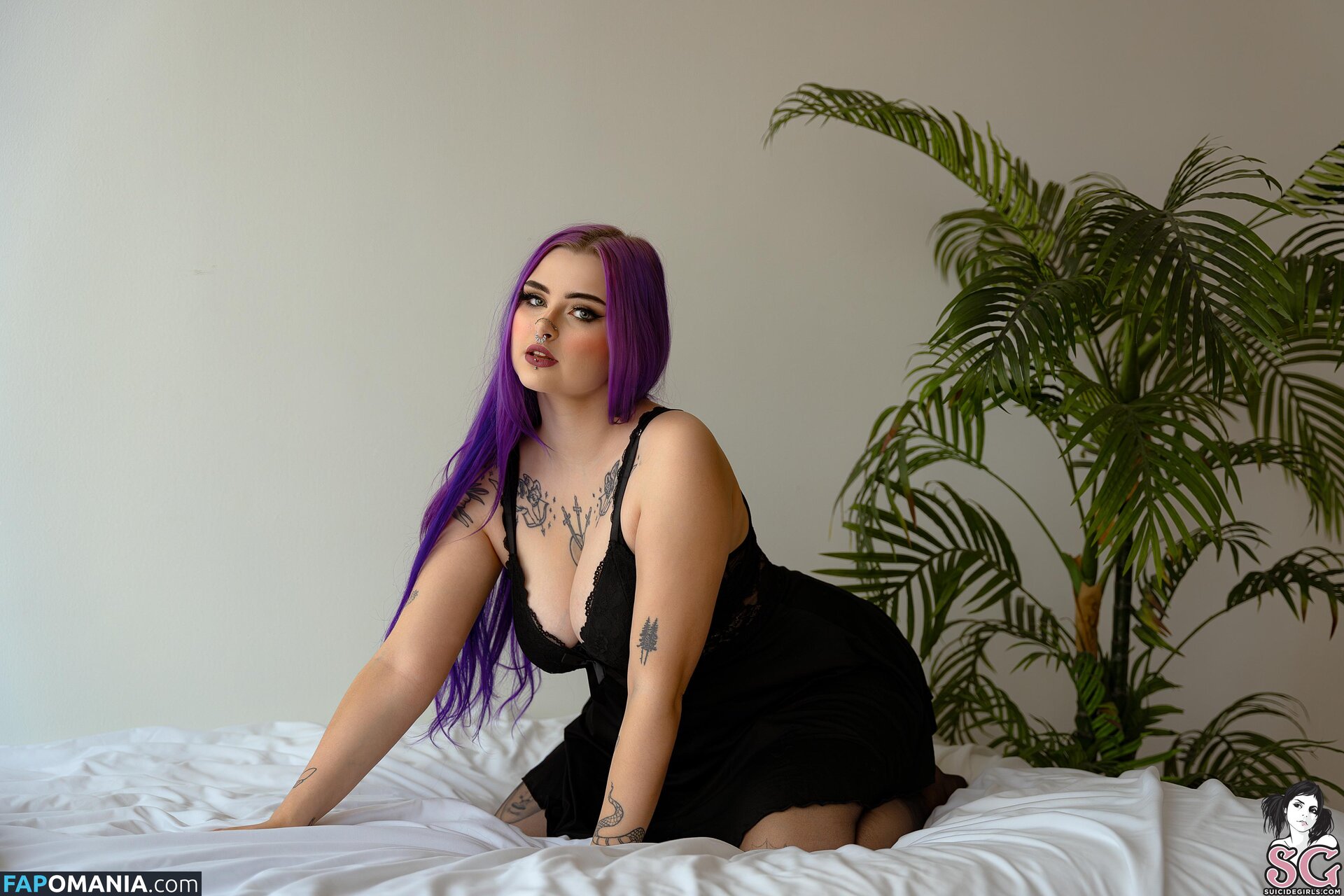 Lilacfables Naakt OnlyFans  Gelekte foto #1