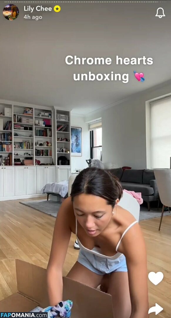 Lily Chee / lilychee Naakt OnlyFans  Gelekte foto #468