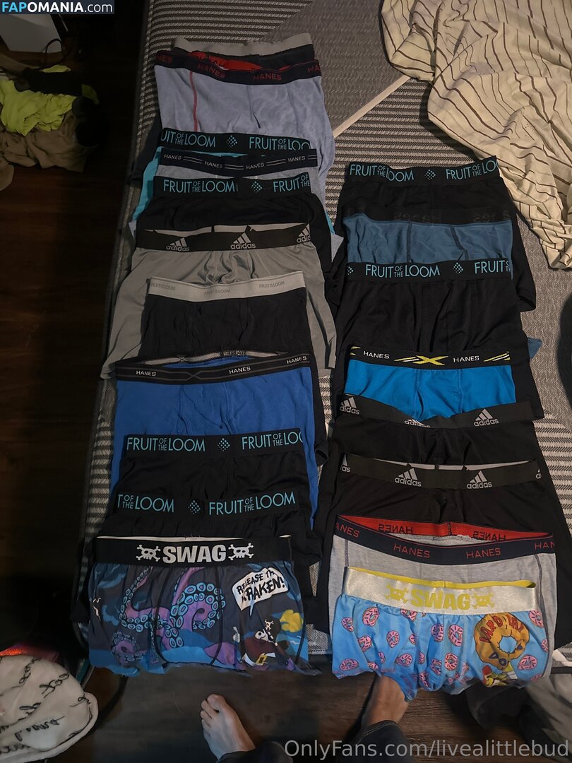 livealittlebud Naakt OnlyFans  Gelekte foto #1