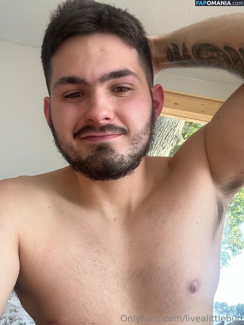 livealittlebud Naakt OnlyFans  Gelekte foto #2