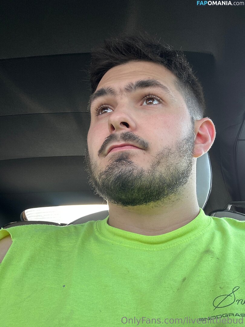 livealittlebud Naakt OnlyFans  Gelekte foto #5