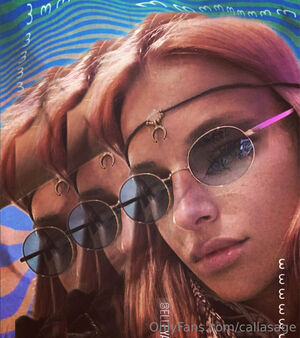 more_than_palnts