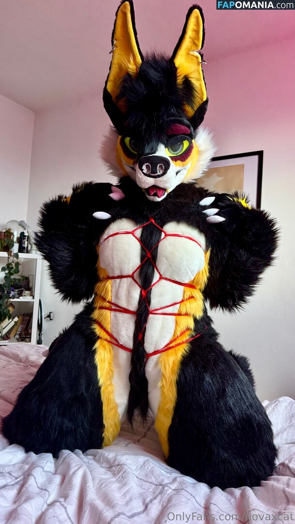 novaxcat / novaxxcat Naakt OnlyFans  Gelekte foto #1
