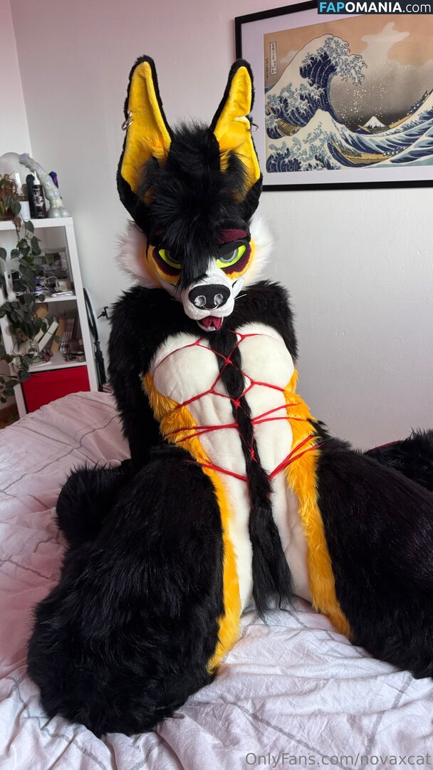 novaxcat / novaxxcat Naakt OnlyFans  Gelekte foto #2