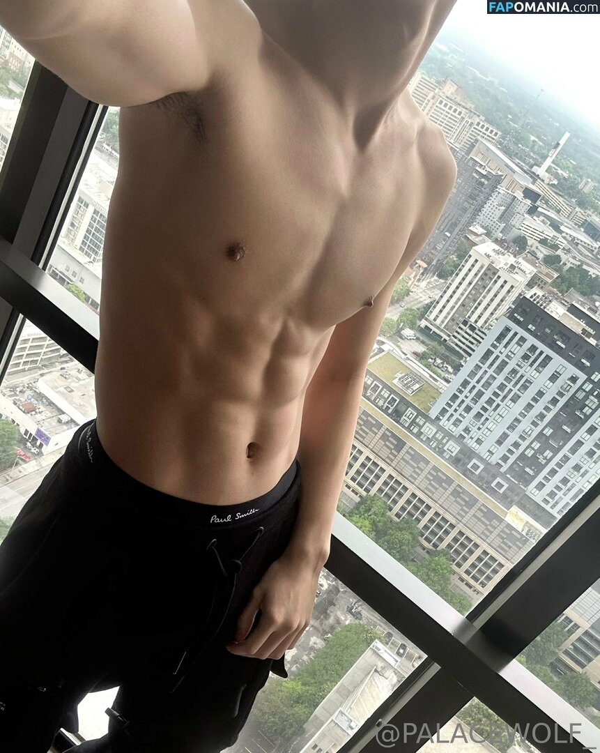 palacewolf / palacewolfent Naakt OnlyFans  Gelekte foto #4