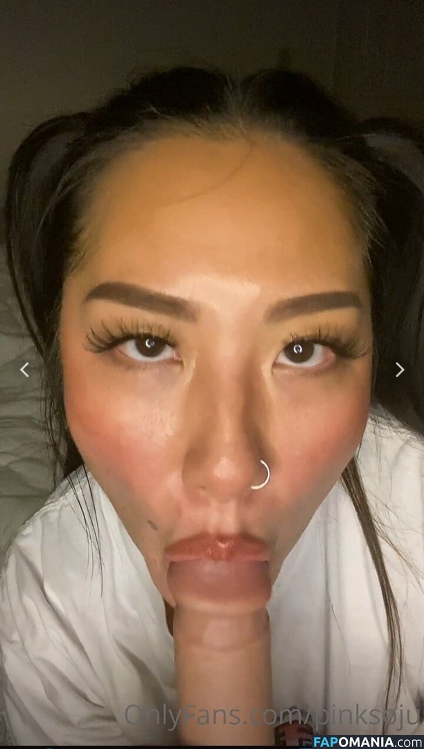 PlNKSOJU / denisetamsi / pinksoju Naakt OnlyFans  Gelekte foto #11