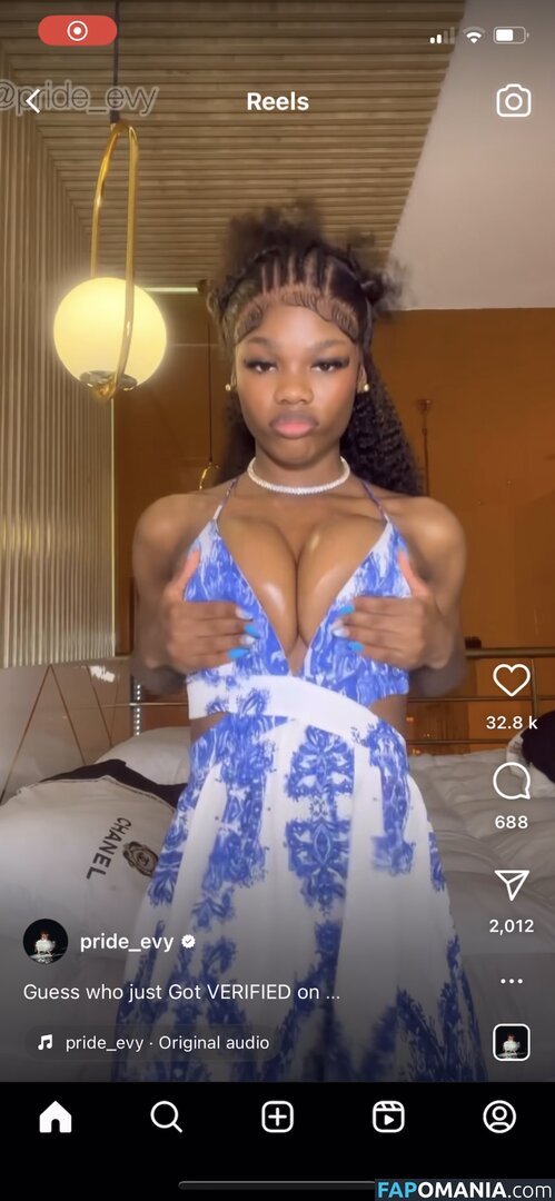 Prettyboobs / Pride_evy Naakt OnlyFans  Gelekte foto #1