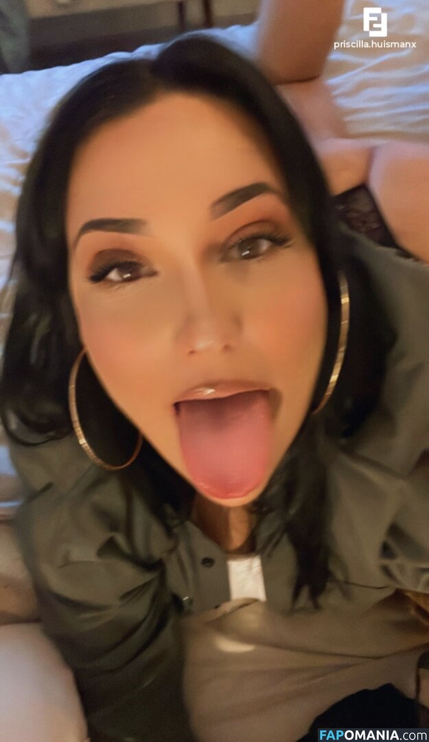 Priscilla Huisman / priscilla.huismanx Naakt OnlyFans  Gelekte foto #15