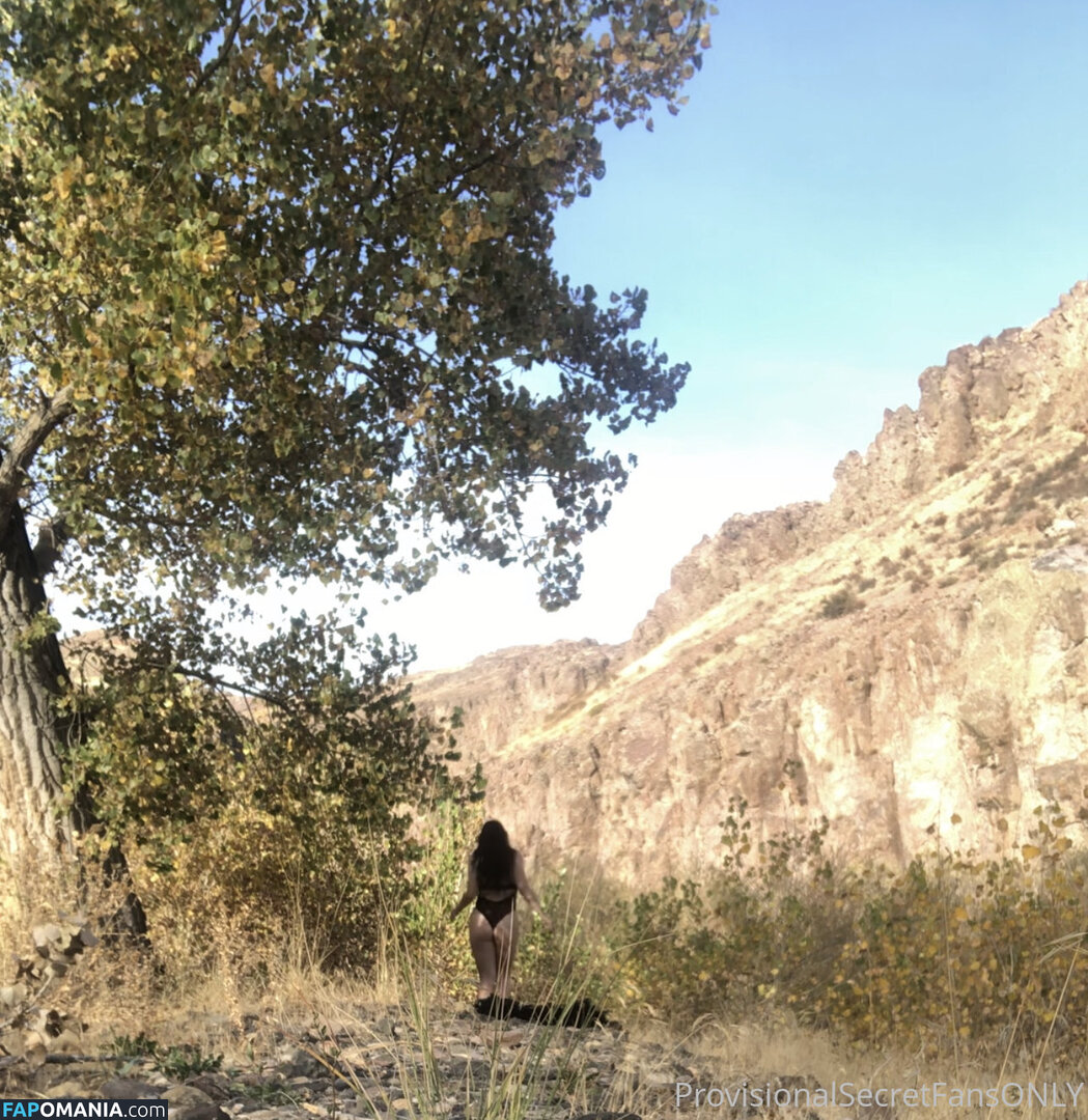 playfulsecret / provisionalsecret Naakt OnlyFans  Gelekte foto #1