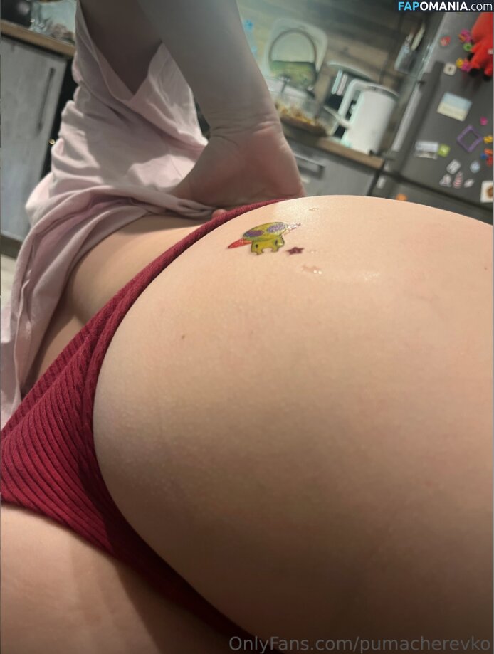 Margarita / Puma Cherevko / pumacherevko Naakt OnlyFans  Gelekte foto #17