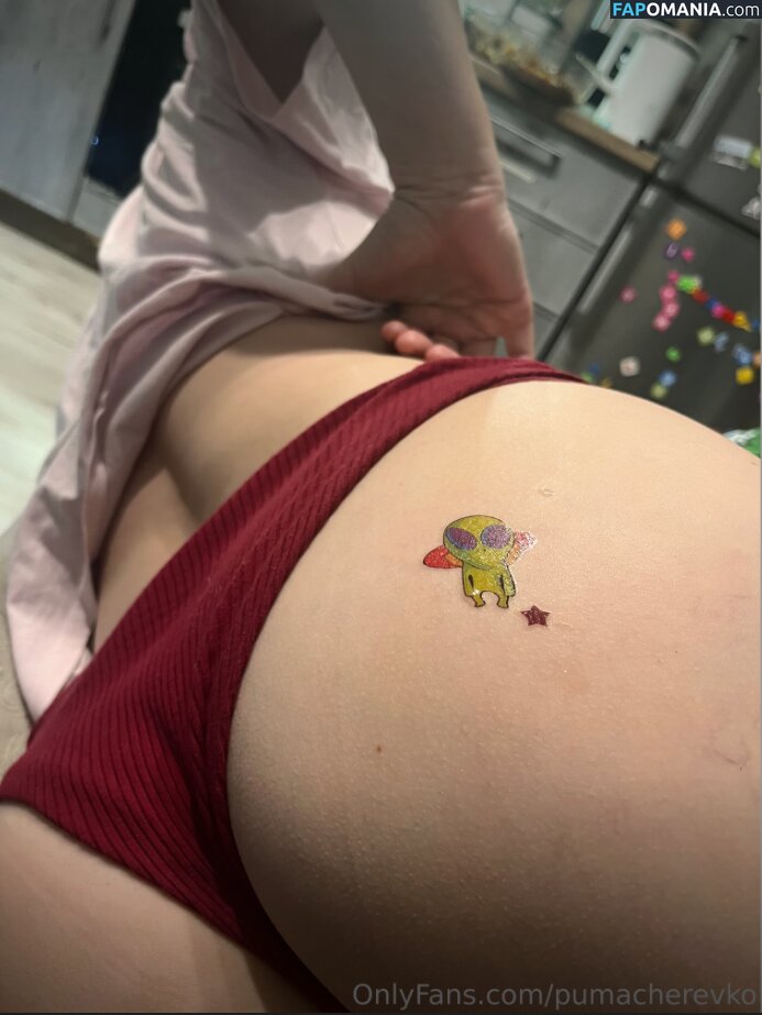 Margarita / Puma Cherevko / pumacherevko Naakt OnlyFans  Gelekte foto #18