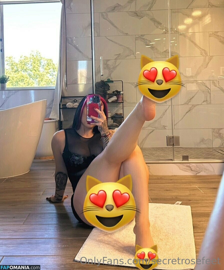 secretfeet2021 / secretrosefeet Naakt OnlyFans  Gelekte foto #13