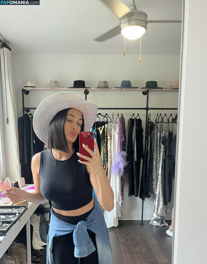 Nikki Bella & Brie Bella / The Bella Twins / thenikkibella Naakt OnlyFans  Gelekte foto #262
