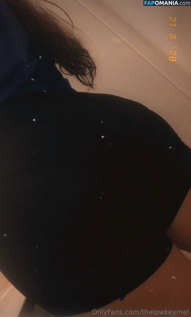 TheLowkeyMel / theofficiallmel Naakt OnlyFans  Gelekte foto #7