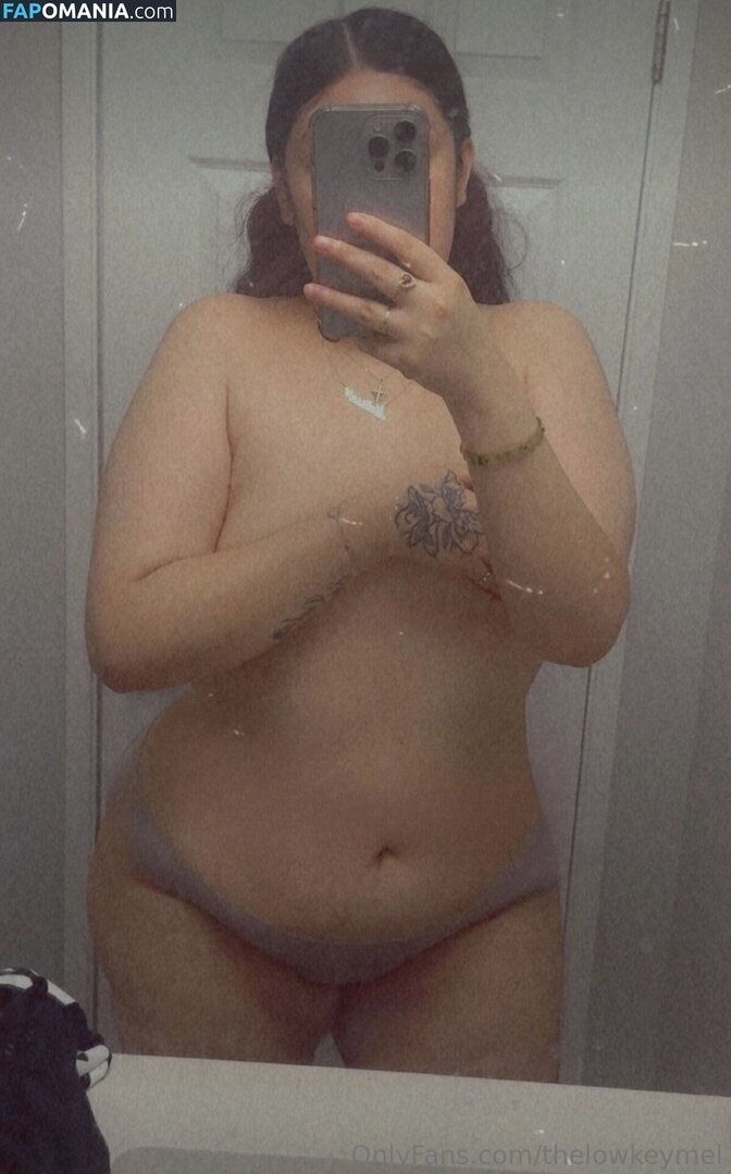 TheLowkeyMel / theofficiallmel Naakt OnlyFans  Gelekte foto #12