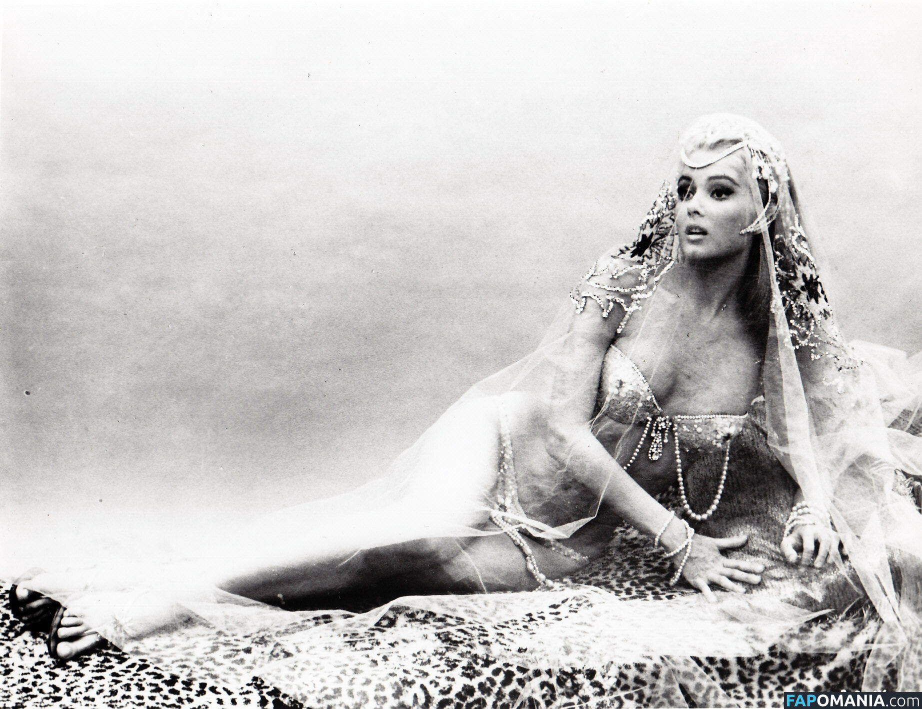 Vintage Starlets Naakt OnlyFans  Gelekte foto #543