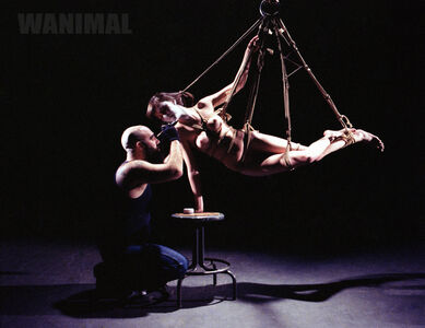 Wanimal Models