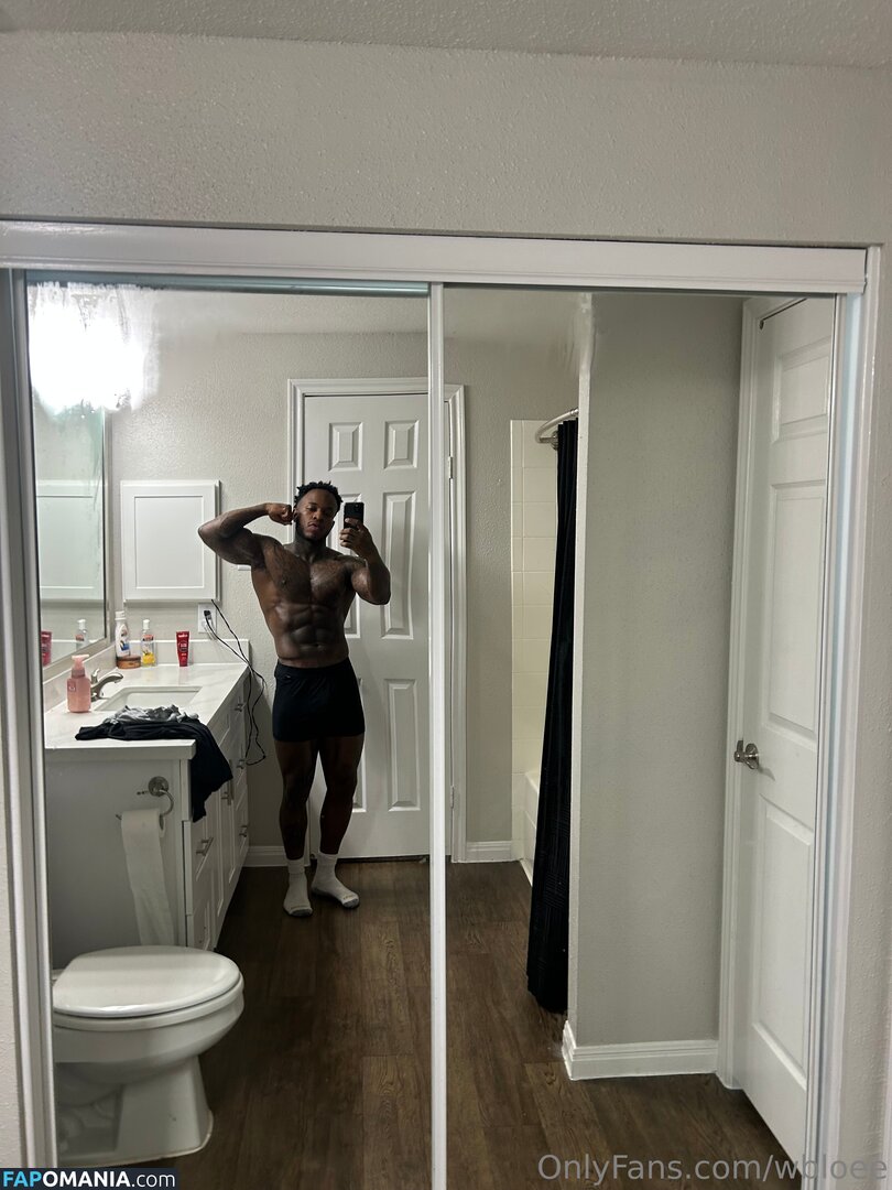 wb_loe / wbloee Naakt OnlyFans  Gelekte foto #1