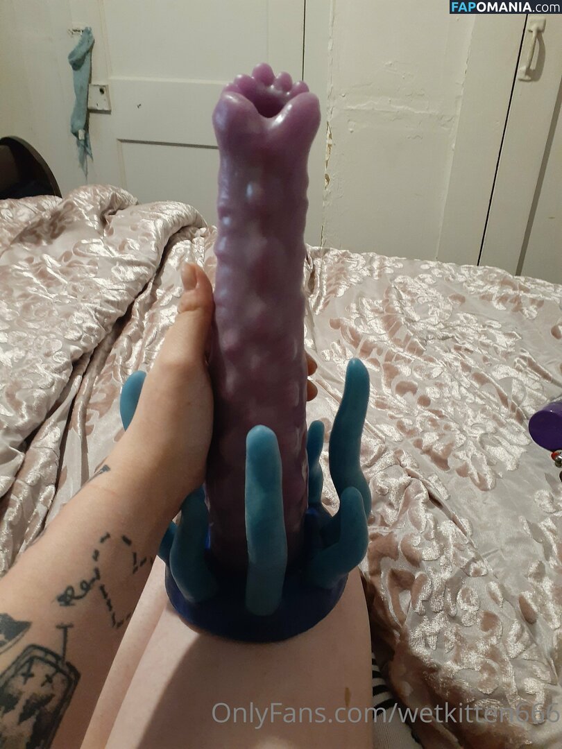 kitty.valentine.92372 / wetkitten666 Naakt OnlyFans  Gelekte foto #13