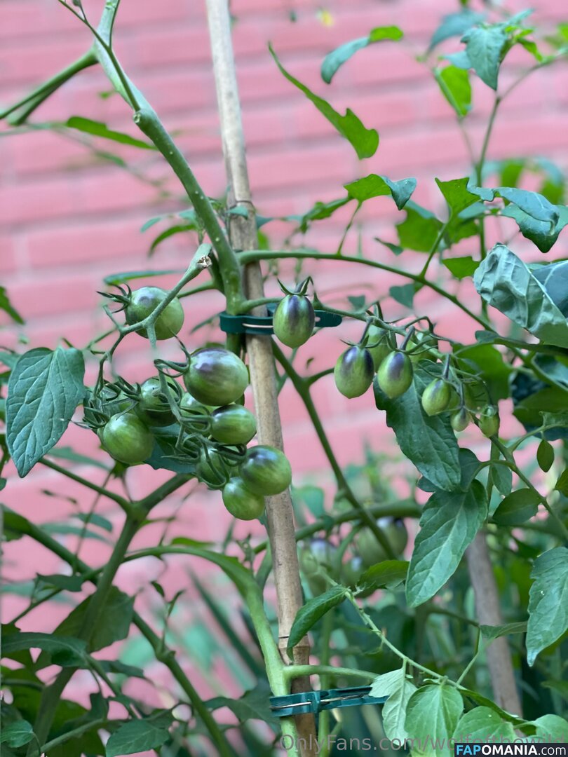 wolfofthewild / wolfofthewildd Naakt OnlyFans  Gelekte foto #9