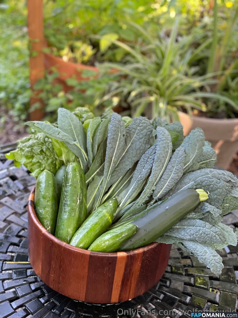 wolfofthewild / wolfofthewildd Naakt OnlyFans  Gelekte foto #10