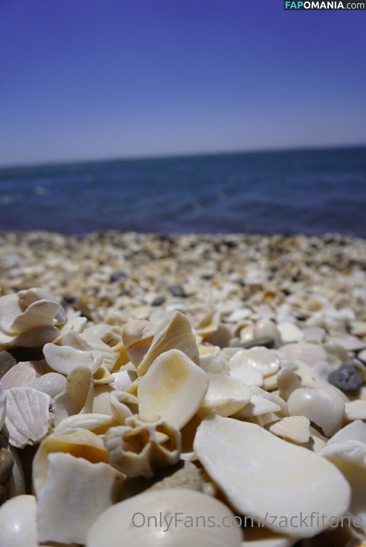 zackfitone Naakt OnlyFans  Gelekte foto #15
